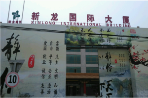 新龙国际大厦