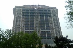 中国电子发展大厦