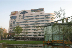 中国国际青年交流中心